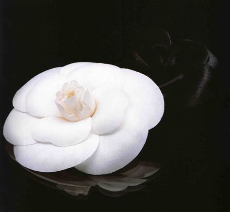 camelia flower chanel|chanel camellia brooch.